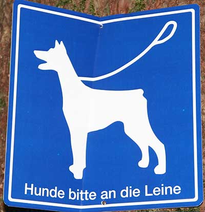 Hasenreuter Wasserfall - Hunde an die Leine (Scheidegg 2005)