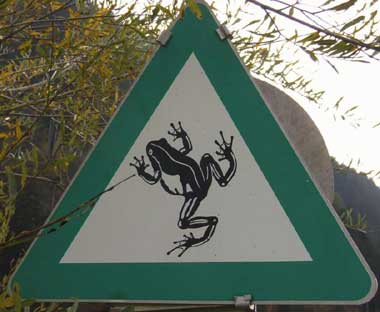 Verkehrszeichen Krötenwanderung Österreich