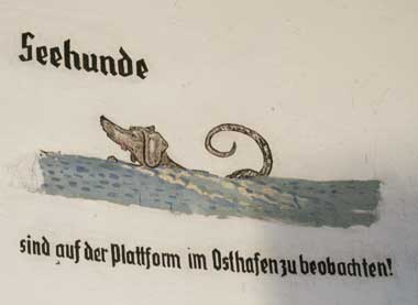 Seehunde im Bodensee - Scherz aus dem Lindauer Leutturm 