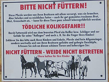 sehr freundliche Art, Pferde vor Fremdfüttern zu schützen, Moosbach 2007
