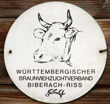 Braunviehzuchtbetrieb in Baden Württemberg