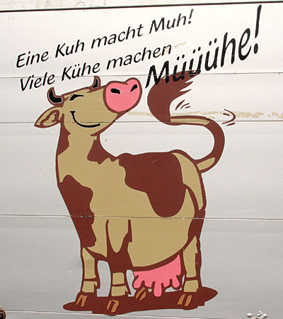 Ein Kuh macht Muh, viele Kühe machen Mühe - Kuhanhänger Heimenkirch Edeka 2013