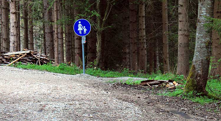 Schlossbergalm Eisenberg - Hier wird aus einem Forstweg ein "Sonderwerg für Fußgänger". Das entsprechende Schild kann links oder rechts vom Weg stehen.