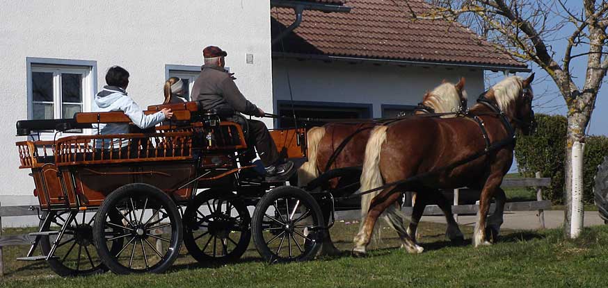Fahrschule für Kutschen und Pferdefuhrwerke im Allgäu