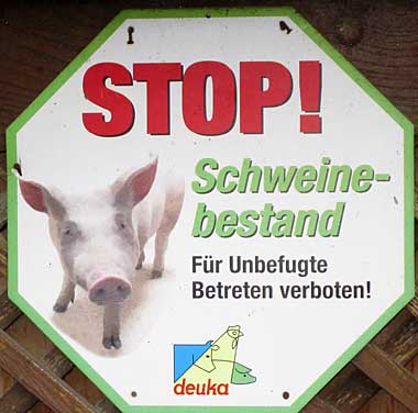 wertvoller Schweinestall - Ruppenmanklitz 2016 zw. Weiler und Lindenberg
