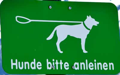 Hunde an die Leine - traumhafte Bergwiesen in Bad Hindelang 2019