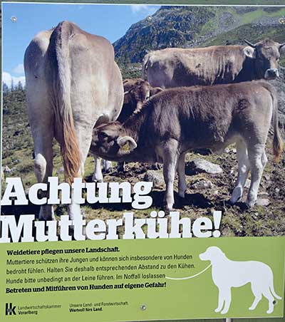 Achtung Mutterkühe! Hunde an die Leine und Vorsicht - Blick auf die Hochwiesalpe (Oberstaufen D), Schild von LK Vorarlberg