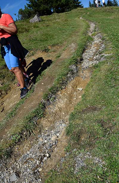 Wandergebiet rund um die Alpe Hörmoos - der eigentliche Wanderpfad wird seitlich umgangen weil der ursprüngliche Pfad eine Rinne geworden ist. Jeglicher Versuch mit Steinen aufzufüllen macht das Wasser zunichte.