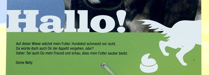 Hallo, ich bin Nelly, die Kuh aus Vorarlberg. Ich mag keinen Hundekot
