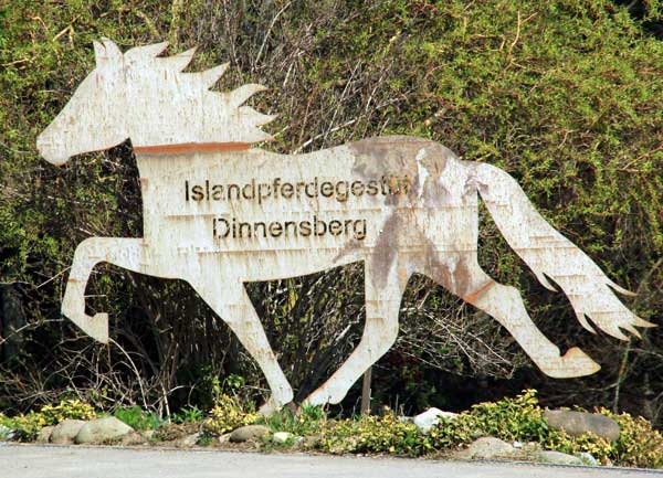 Islandpferdegestüt Dinnensberg (Gestratz 2013)