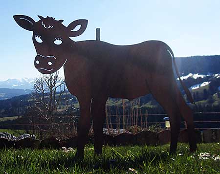 Blech Kuh für Touristen - Touri Shop in Oberstaufen