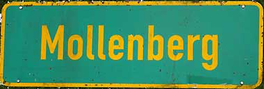 Molle - Jungstier - Mollenberg ist Teil von Hergensweiler