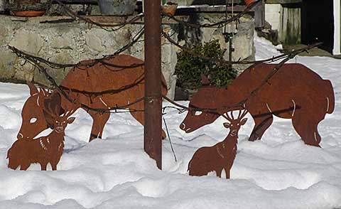 Steibis - weihnachtliches Rudel Damwild in Obrstaufen in Blech