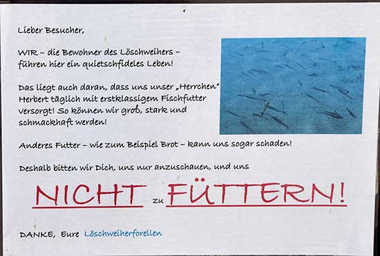 Forellen füttern verboten im Löschweiher - Ellhofen 2019