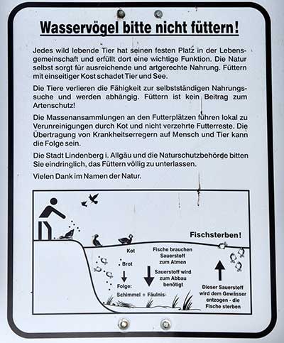 Enten füttern verboten am Waldsee Lindenberg 2019