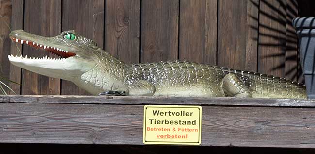 Krokodil im Allgäu - zum 750 jährigen Jubiläum in Scheffau mit nicht einheimischen Tieren gefeiert